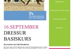 Dressur Basiskurs